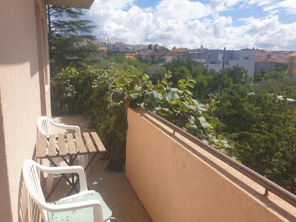 Apartment Ivanov Zadar Ngoại thất bức ảnh